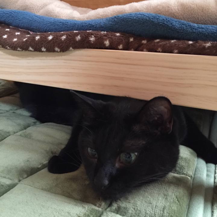 Dbc425ac 4383 4090 b082 037ccaab91d3