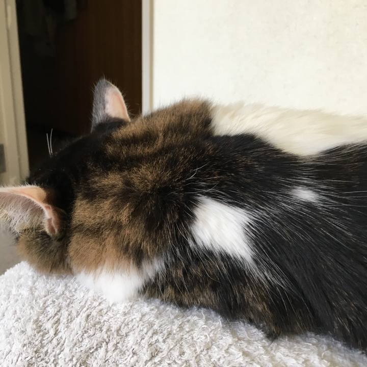 Dbc494a3 a1c4 4dd6 966a 69f2449a248a