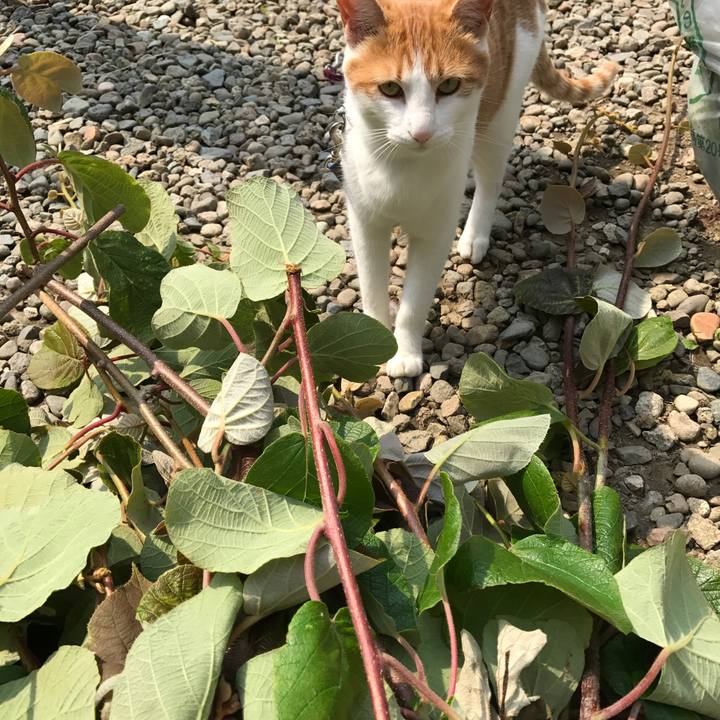 Dbc4fe5f 0406 4120 b010 6b0110e49017