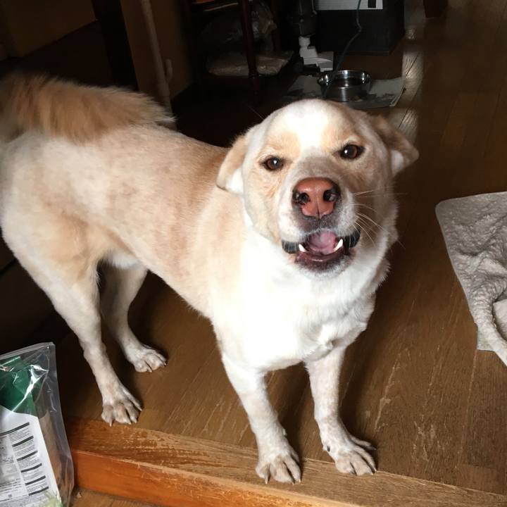 Dbc5d4ef 2d6f 4a10 8679 515874214254