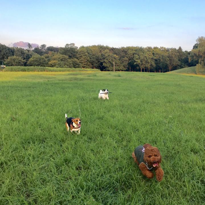 Dbc60c4a 263b 43fd b14d fb97eaf0d2da