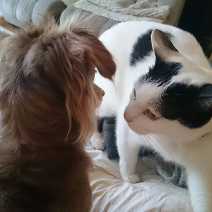 Dbc62b70 b4f3 40bd a7e3 b639007c8134