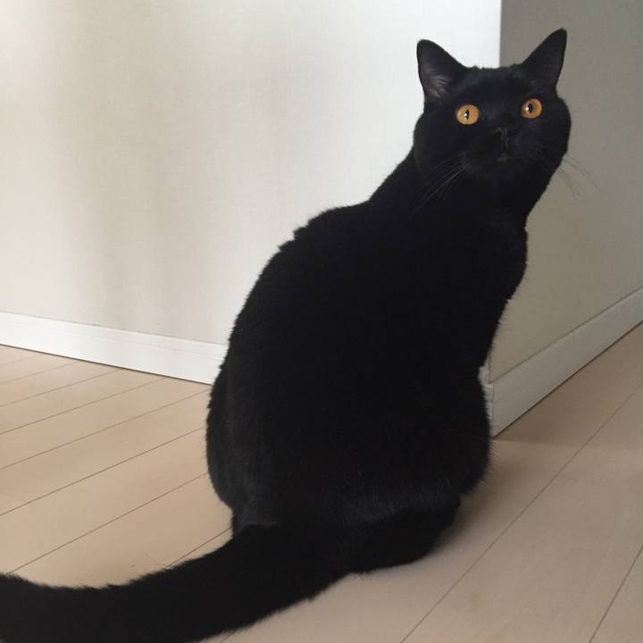 Dbc646ee a6c4 47fe a3ef c1ac3f4be404