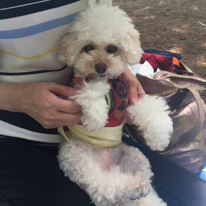 Dbc67133 1a2d 4ee8 aba6 02d50f411638