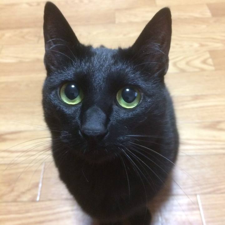 Dbc6a17f 7e1e 4966 9194 3f3d9d556c8d