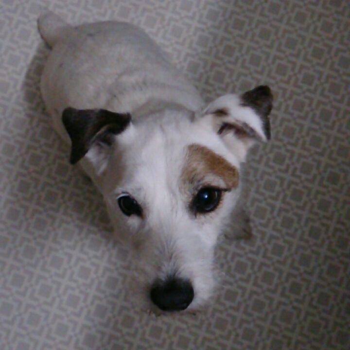 Dbc6ffd8 b2b1 4235 851d 8cf7497f6e7c