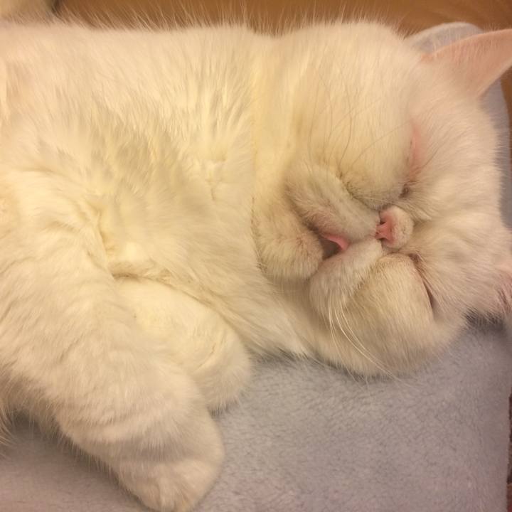 Dbc7f195 b556 4731 a5c2 5dc4719a4fe4