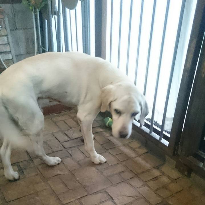 Dbc81c3f 8412 4761 8d2c e567fa453505