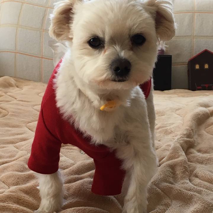 Dbc897d1 f596 4435 81bf 47ef2bdcefd6