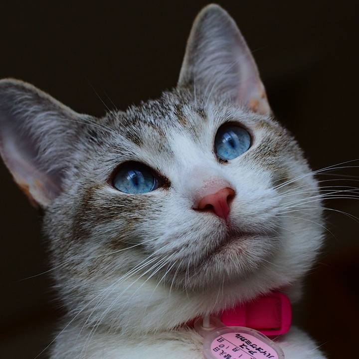 Dbc8aae8 6084 4145 a23a 1e8ca0b8becb