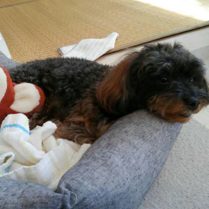 Dbc8fcad f00a 44d2 afd9 9a41ef67704b