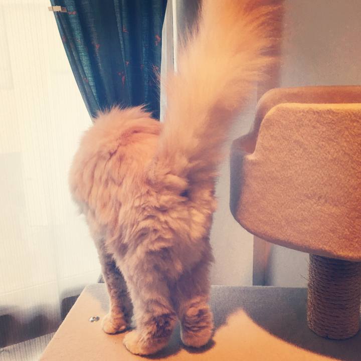 Dbc97704 3c53 49f3 9b8e 52064f6b3868