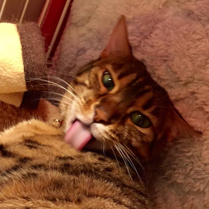 Dbcaad73 e79f 47fe bbb6 06e2dcacc858