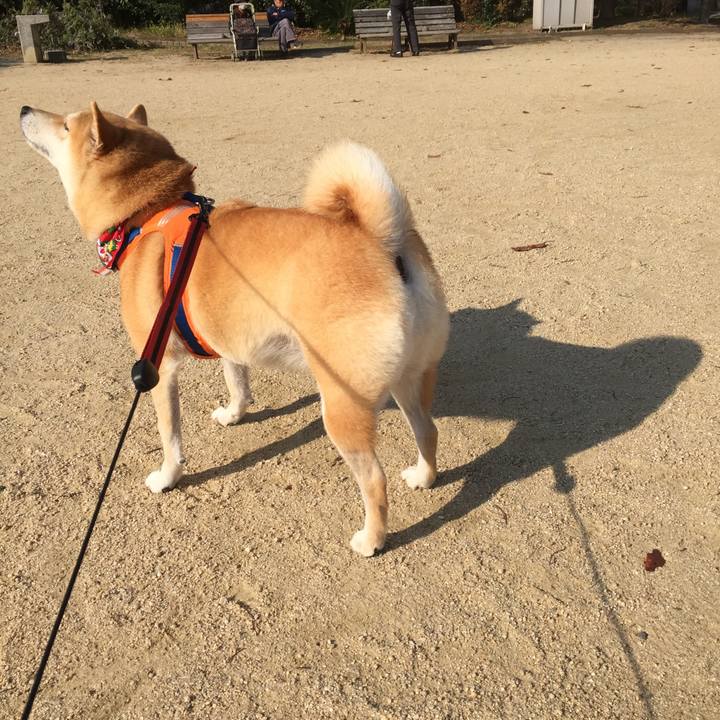 Dbcb3203 8ab4 4fdb 81f6 f8d116a4990f