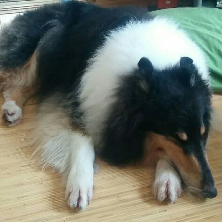 Dbcb6b12 3b02 4495 87ef dab37a08d76d