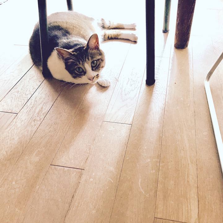 Dbcd81fd 8f1b 4a3a ad67 c9e35f8a207b