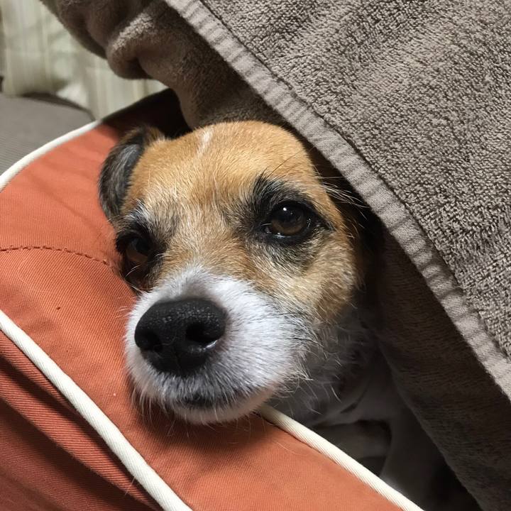 Dbce7238 50b1 4dc7 b52e 51c061206030