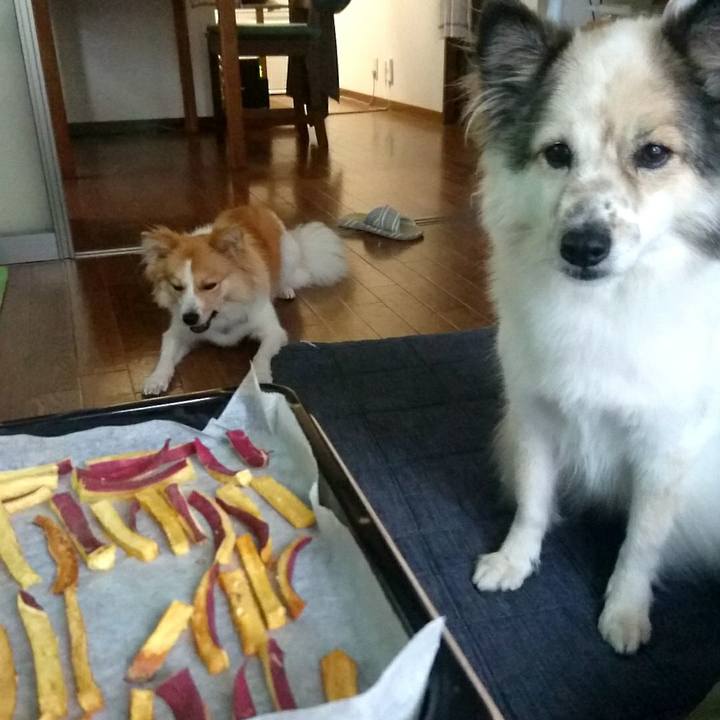 Dbcebd0c 3ff9 4317 a88a a94579e52a85