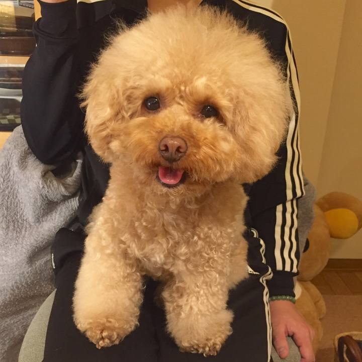 Dbcfa4e8 60b5 4958 87c1 55c712b1e403