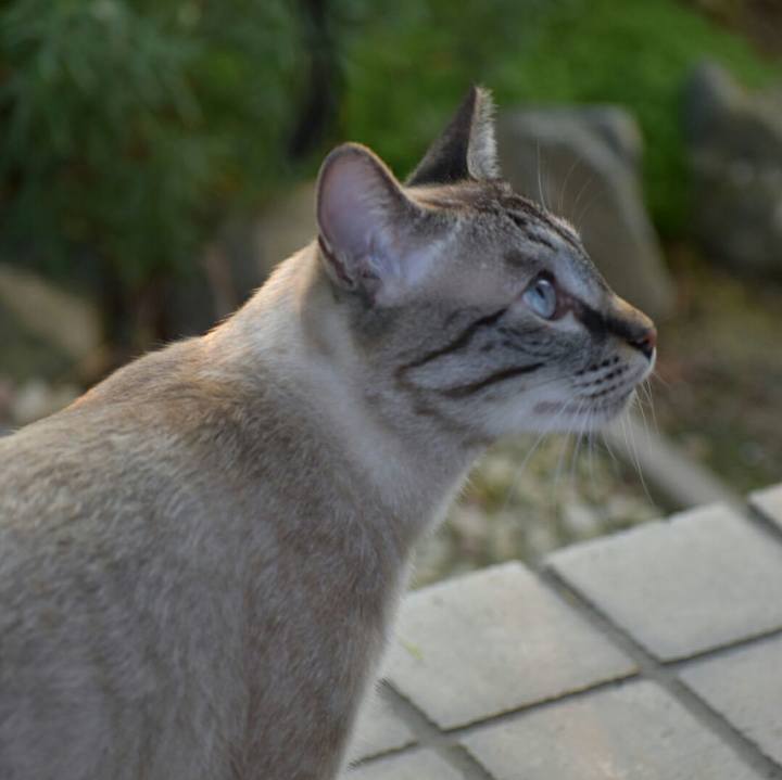 Dbcfa6b1 a448 4db8 971b 78d734315472