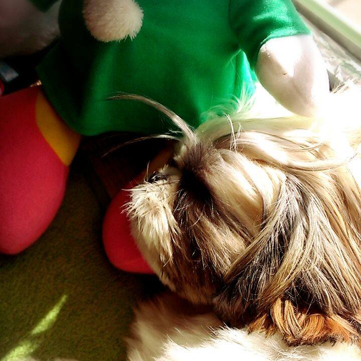 Dbcfbc8d 02ee 4797 9195 1c3eaefede68