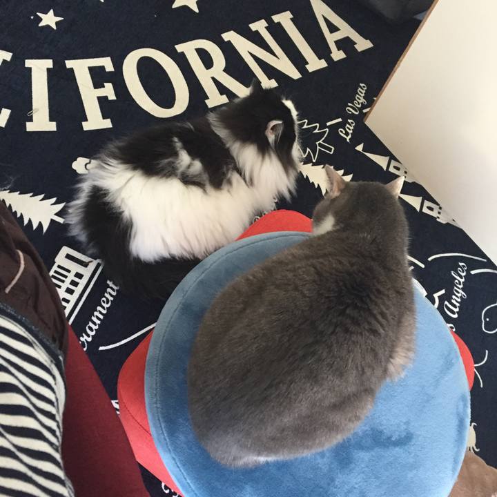 Dbcfe2ce 45e4 4e0c b145 2434e1b2bca3