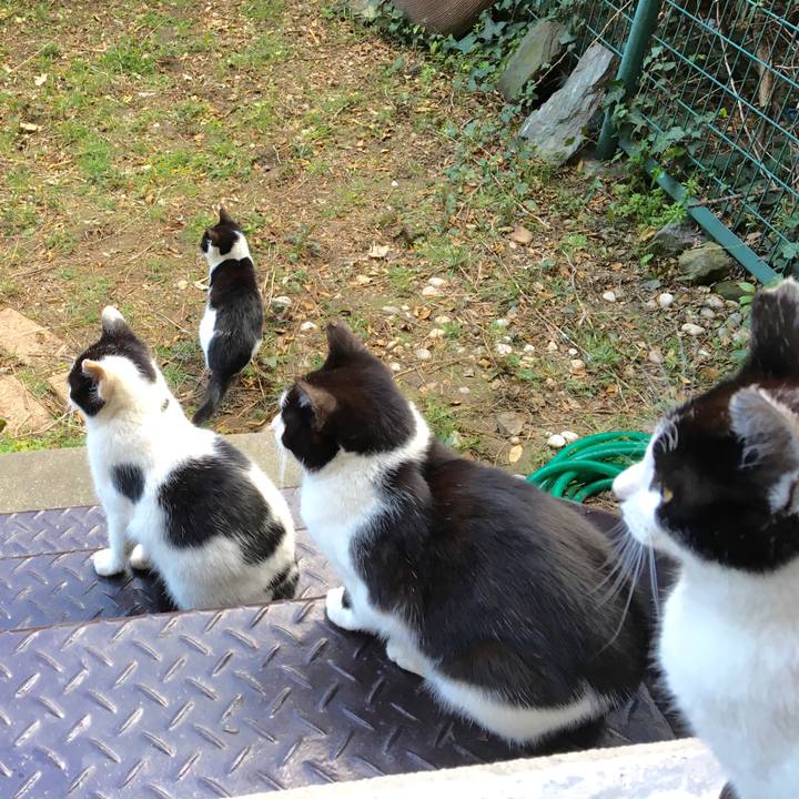 Dbd01671 1e8b 4448 ba7f a1a86d7cfc75