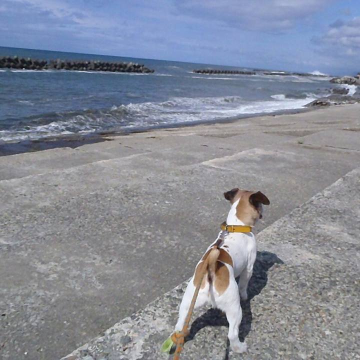 Dbd03286 6318 48d3 a3dc 8f26addd8604