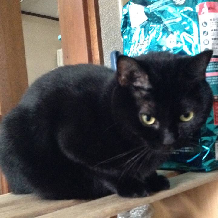 Dbd13592 46cf 4c95 bfb3 646e14848808