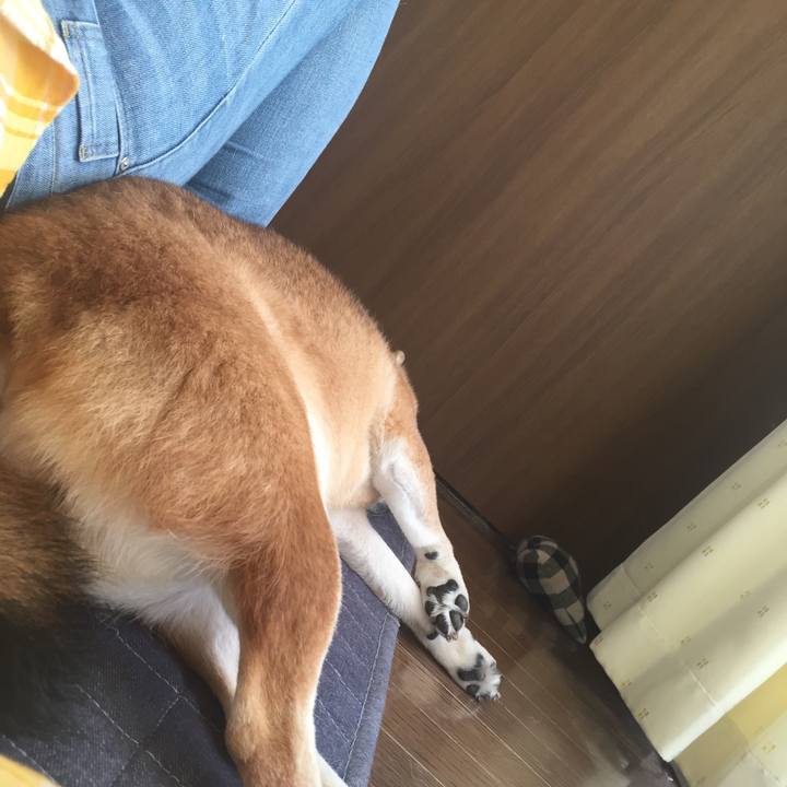 Dbd14ee9 6acb 4a78 a202 1bc904485cc8