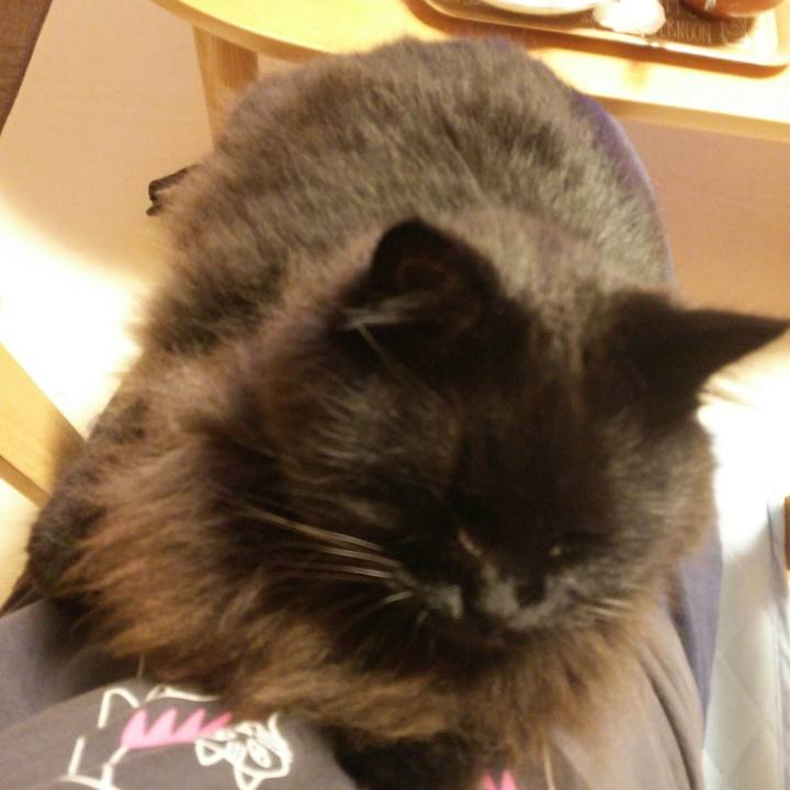 Dbd15645 89b8 4be6 8a62 cd3642878a5e