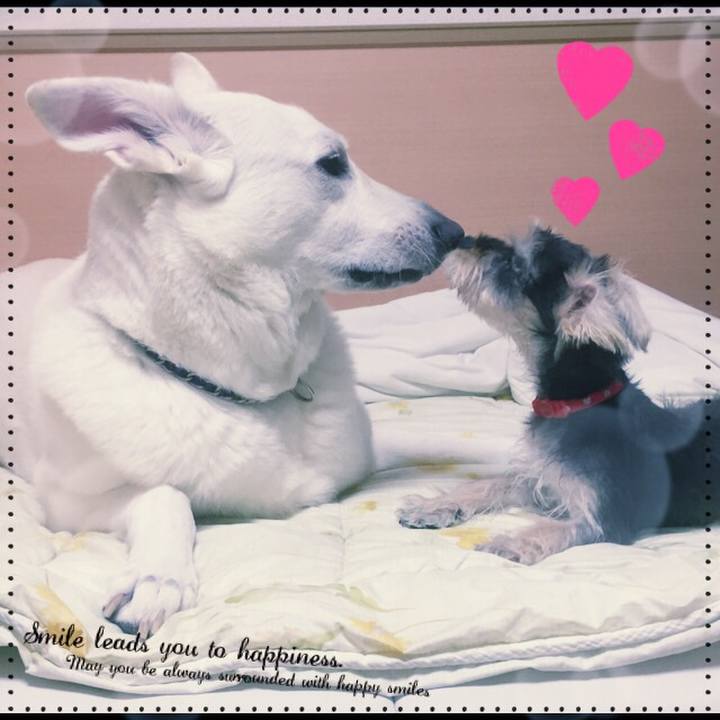 Dbd1e1eb 68a7 4856 bd20 667a95407734