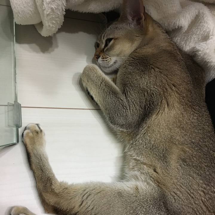 Dbd20f20 0016 4e36 a744 dccda5d5ad91