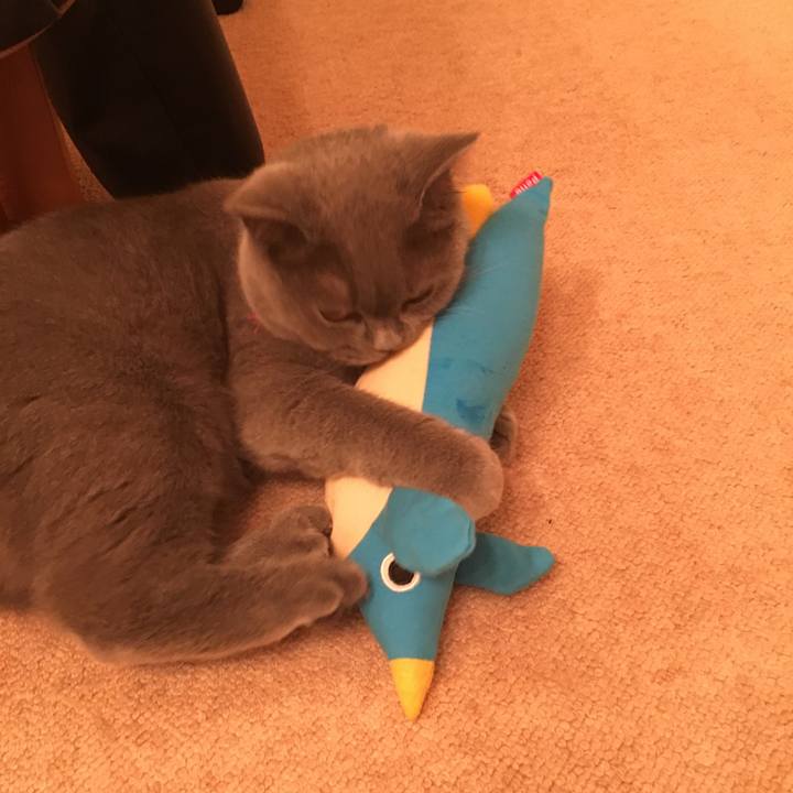 Dbd30f1e 6489 4ed0 a829 38c10621b051