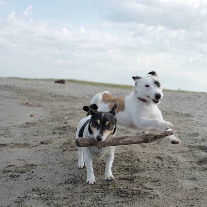 Dbd33ca7 d8c2 4207 96b1 54da88d2a41b