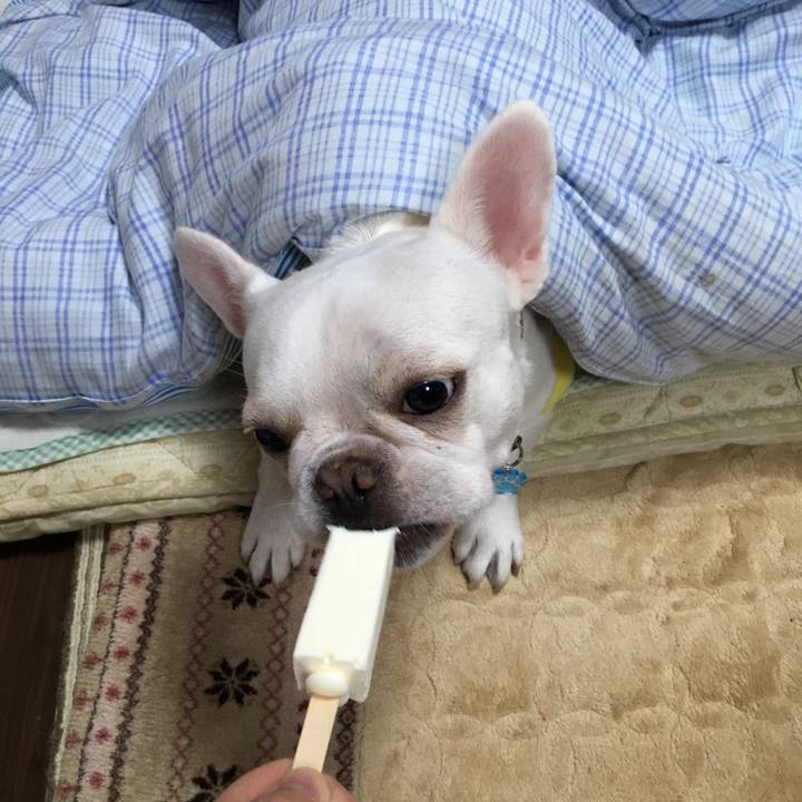 Dbd3558b 25d1 4a95 a1b2 5a744a61e174