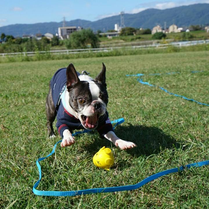 Dbd39070 25fc 4a2a a687 769c7f57803b