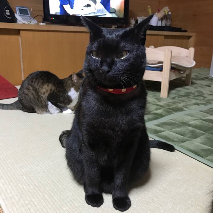 Dbd3d87b fe7f 4e64 8c11 5044473f2f42