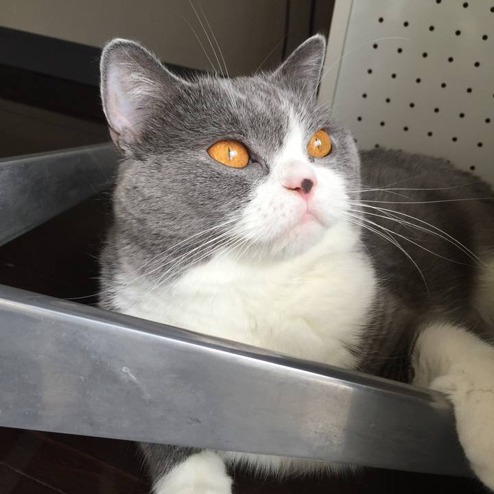 Dbd53e9b 5c1c 4fe8 aea3 f2977ee9ce5d