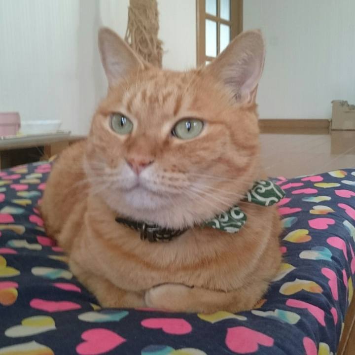 Dbd59972 5b31 46c3 af5d 2f4cfb19b272