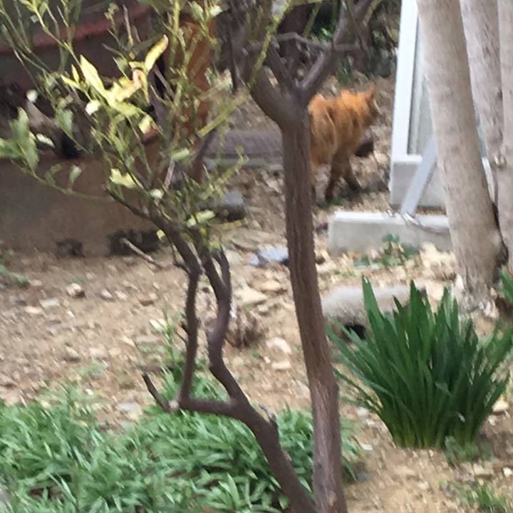 Dbd59d51 6c4e 43b3 9eec ac2832f78603