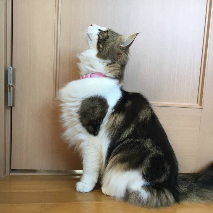 Dbd5e6a1 5c73 4b7b 96da d49ae1f5ca2b