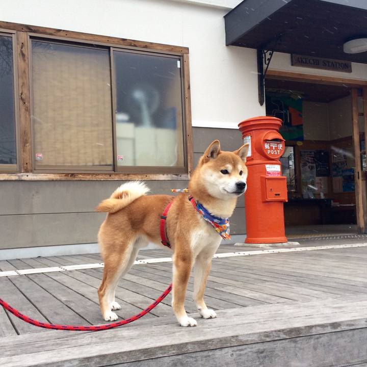 Dbd61f2b 726d 400a a6ac a409a3e6eaa6