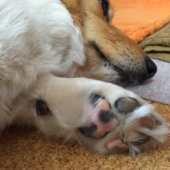 Dbd63bb3 8ea4 4917 a1e8 58cbfc49eab5