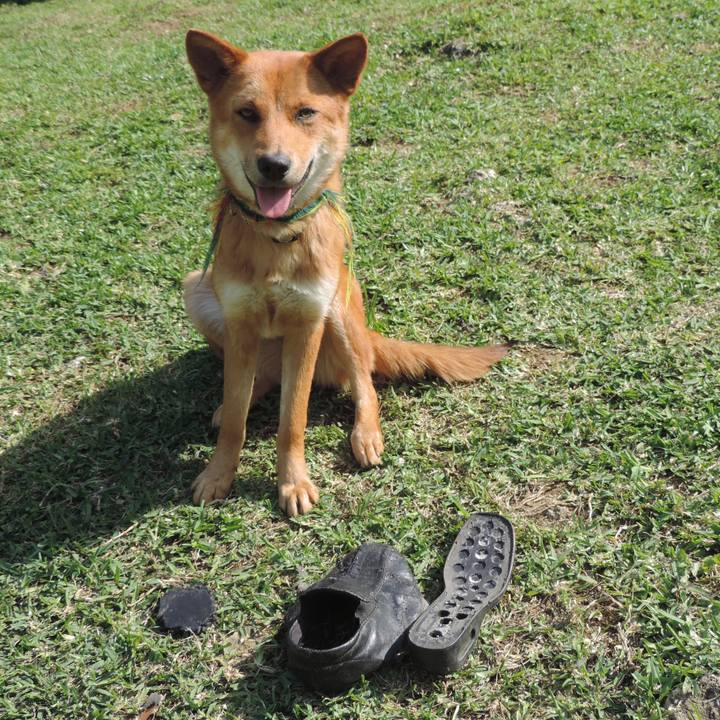 Dbd72a3d 7a3e 4fe9 93c0 a7bfcdfc93ee