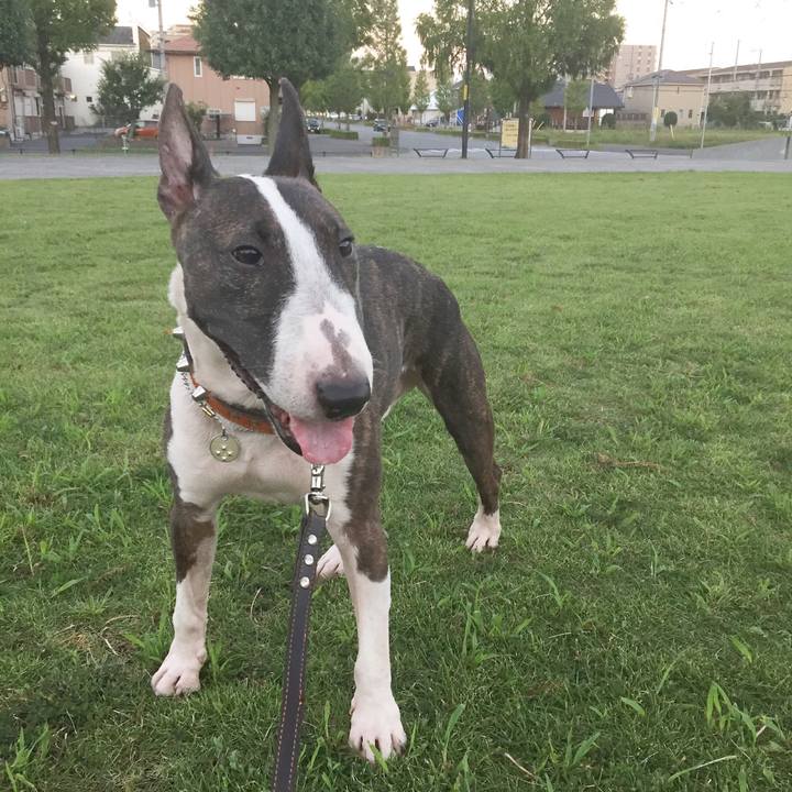 Dbd7ff70 c1a6 4cf4 a136 8a66f975e280