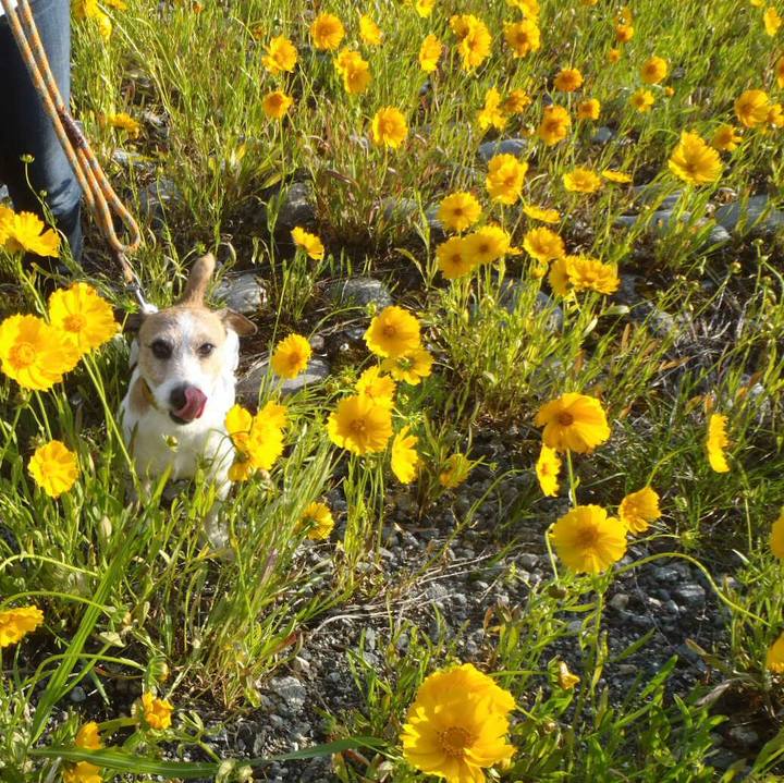 Dbd826c2 4ab7 40ff a849 f4d059a8945d