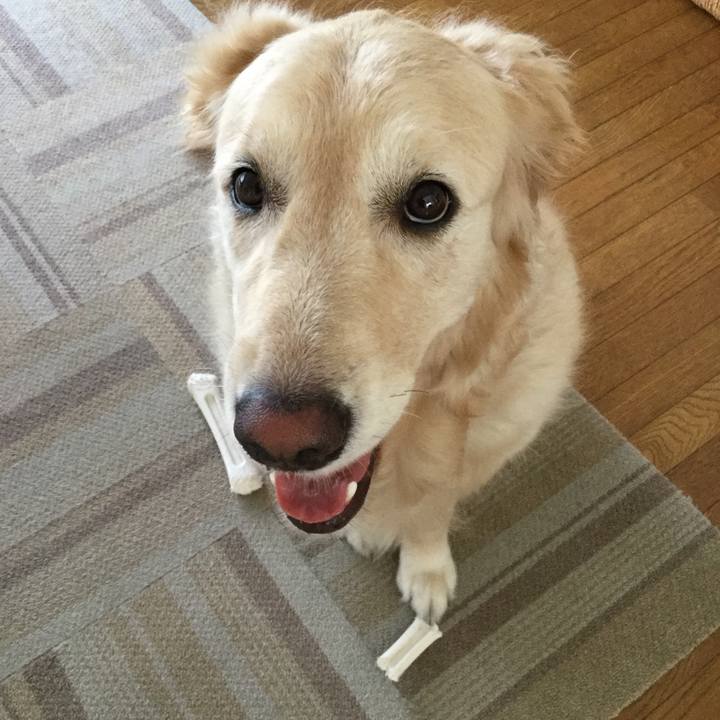 Dbd86f00 4e9a 42f0 ac25 e1a3b97ea6d8