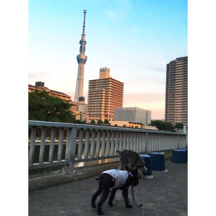 Dbd97c55 0b77 4717 9d8d 4fc7032a5933