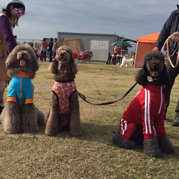 Dbd994b1 5322 4185 91bc 7f99b21f0192